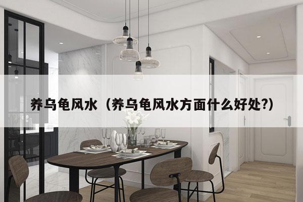 养乌龟风水（养乌龟风水方面什么好处?）