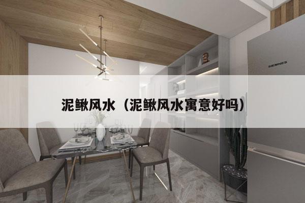 泥鳅风水（泥鳅风水寓意好吗）