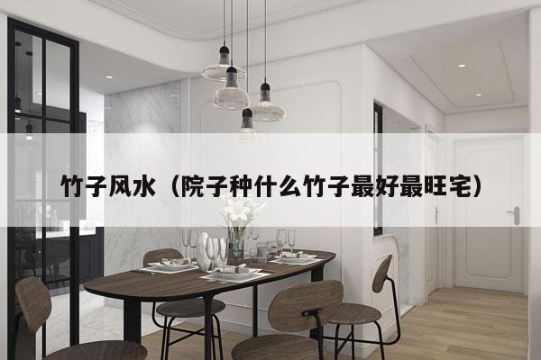 竹子风水（院子种什么竹子最好最旺宅）