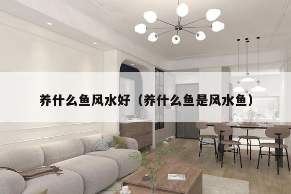 养什么鱼风水好（养什么鱼是风水鱼）