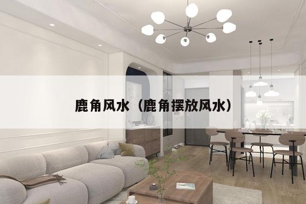 鹿角风水（鹿角摆放风水）