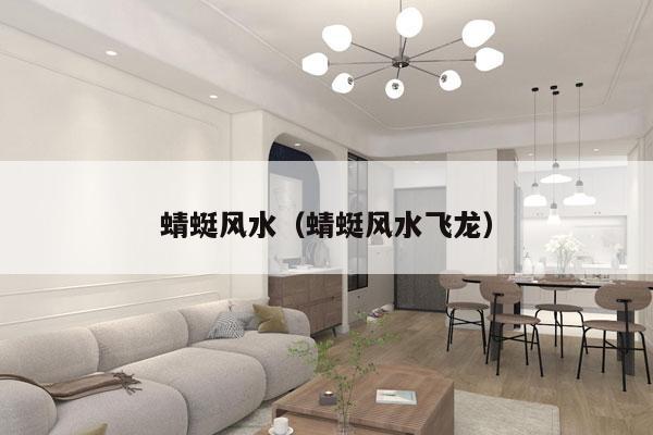 蜻蜓风水（蜻蜓风水飞龙）
