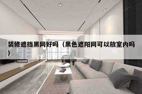装修遮挡黑网好吗（黑色遮阳网可以放室内吗）