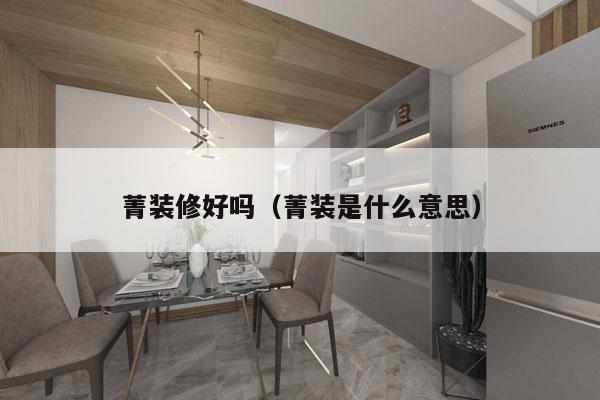 菁装修好吗（菁装是什么意思）