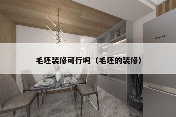 毛坯装修可行吗（毛坯的装修）