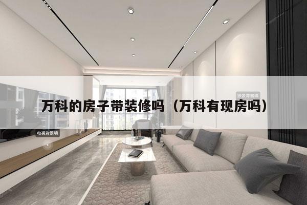 万科的房子带装修吗（万科有现房吗）
