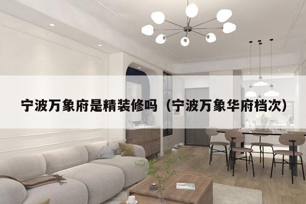 宁波万象府是精装修吗（宁波万象华府档次）