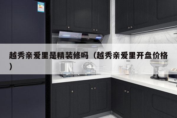 越秀亲爱里是精装修吗（越秀亲爱里开盘价格）