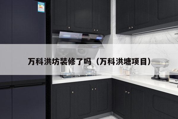 万科洪坊装修了吗（万科洪塘项目）