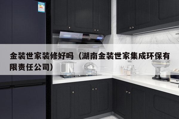 金装世家装修好吗（湖南金装世家集成环保有限责任公司）