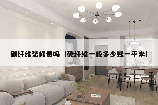 碳纤维装修贵吗（碳纤维一般多少钱一平米）