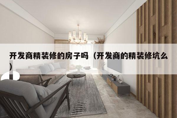 开发商精装修的房子吗（开发商的精装修坑么）