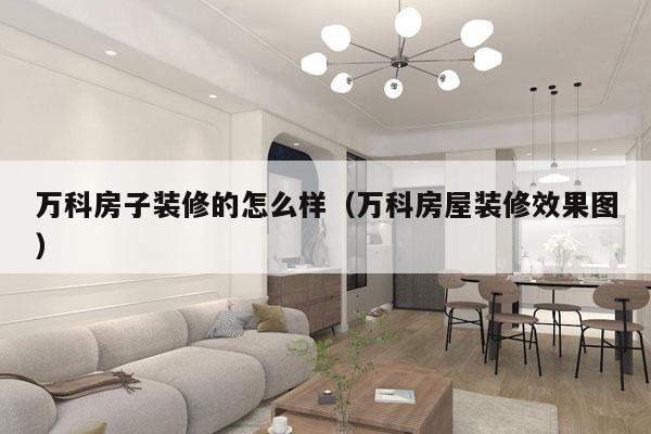 万科房子装修的怎么样（万科房屋装修效果图）