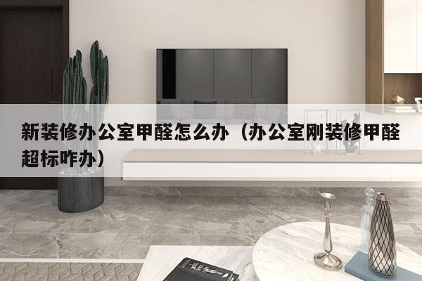 新装修办公室甲醛怎么办（办公室刚装修甲醛超标咋办）