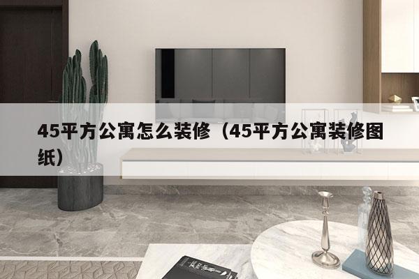 45平方公寓怎么装修（45平方公寓装修图纸）