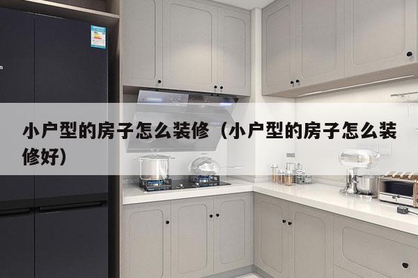 小户型的房子怎么装修（小户型的房子怎么装修好）