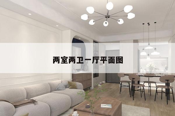 两室两卫一厅平面图