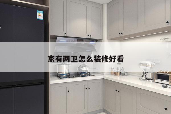 家有两卫怎么装修好看