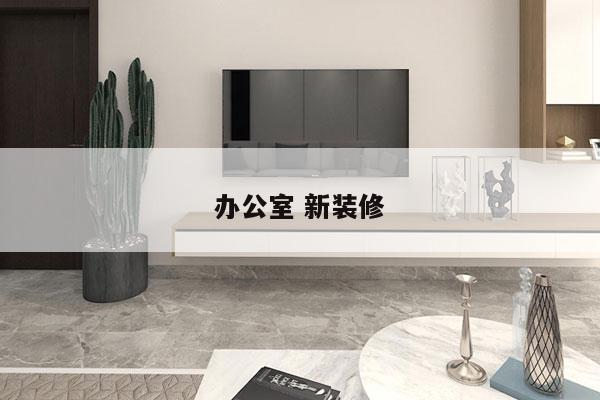 办公室 新装修