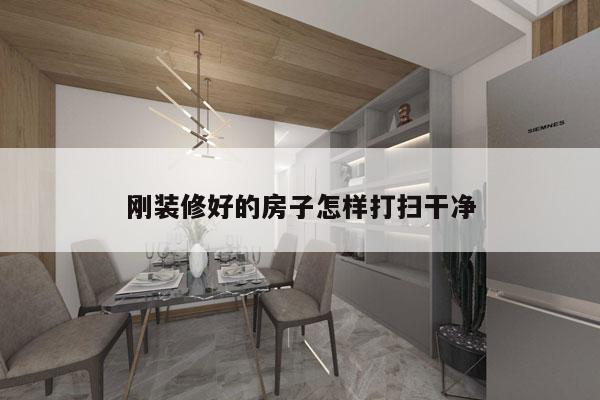刚装修好的房子怎样打扫干净