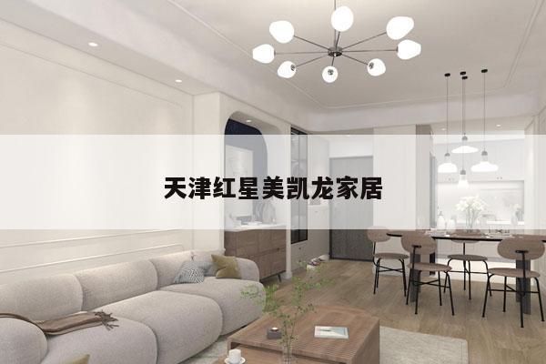 天津红星美凯龙家居