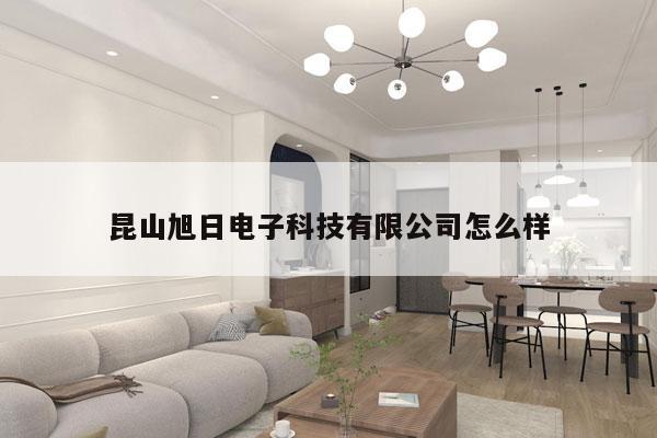 昆山旭日电子科技有限公司怎么样