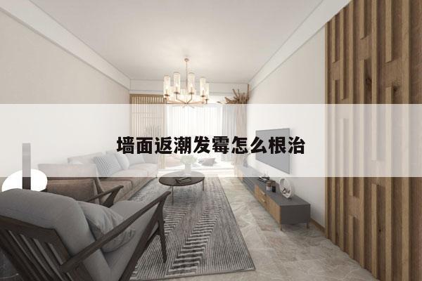 墙面返潮发霉怎么根治