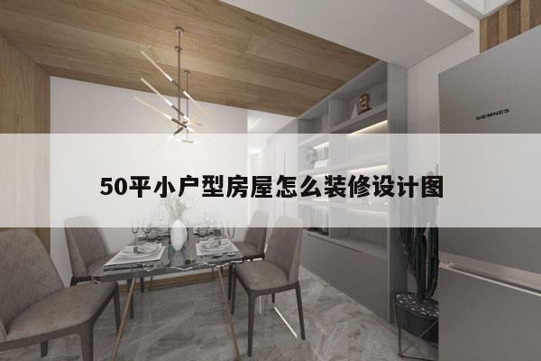 50平小户型房屋怎么装修设计图