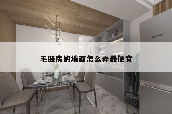 毛胚房的墙面怎么弄最便宜