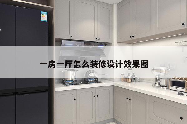 一房一厅怎么装修设计效果图