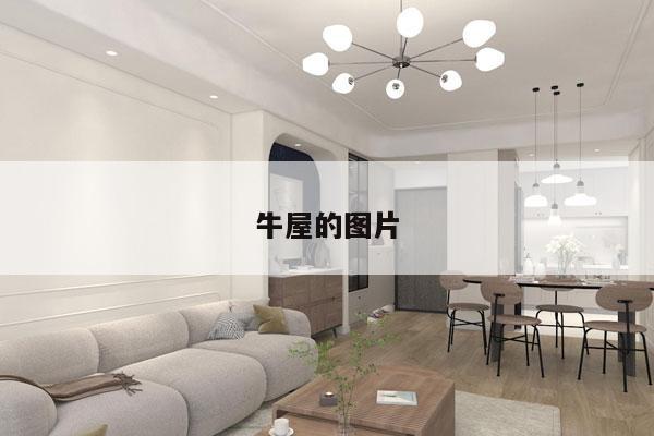 牛屋的图片