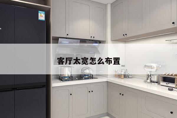 客厅太宽怎么布置