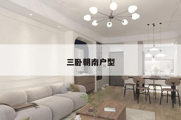三卧朝南户型