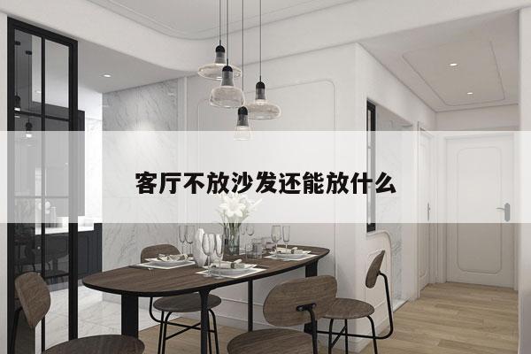 客厅不放沙发还能放什么