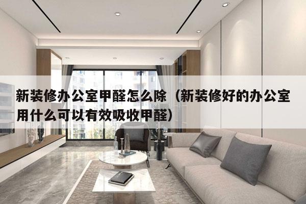 新装修办公室甲醛怎么除（新装修好的办公室用什么可以有效吸收甲醛）