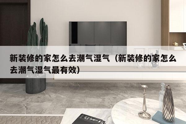 新装修的家怎么去潮气湿气（新装修的家怎么去潮气湿气最有效）